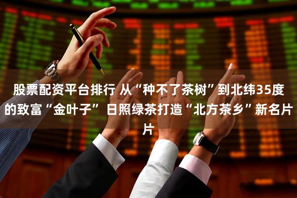 股票配资平台排行 从“种不了茶树”到北纬35度的致富“金叶子” 日照绿茶打造“北方茶乡”新名片